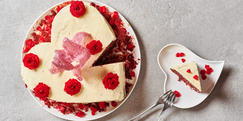 Cake Cover 2